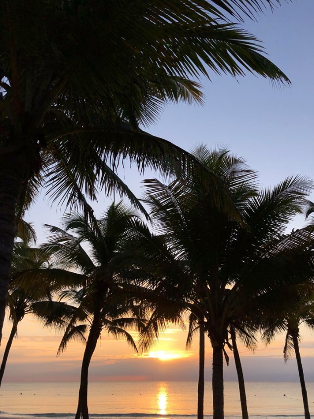 sunset thru palm trees